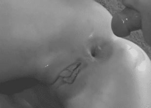Anal Creampie by Sex Cubed Gif | Porn Giphy