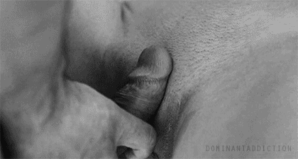 420px x 225px - Couple Sex Gif | Porn Giphy